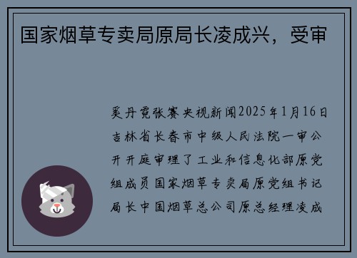 国家烟草专卖局原局长凌成兴，受审