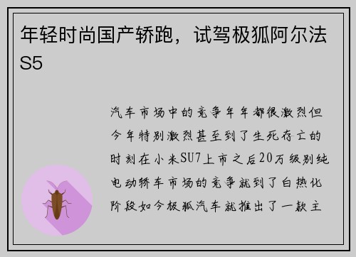 年轻时尚国产轿跑，试驾极狐阿尔法S5