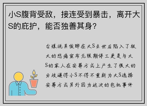 小S腹背受敌，接连受到暴击，离开大S的庇护，能否独善其身？