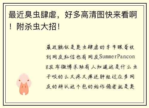 最近臭虫肆虐，好多高清图快来看啊！附杀虫大招！