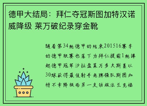 德甲大结局：拜仁夺冠斯图加特汉诺威降级 莱万破纪录穿金靴