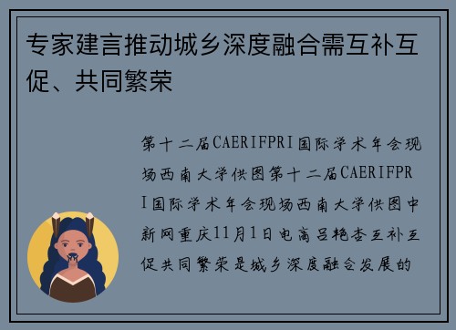 专家建言推动城乡深度融合需互补互促、共同繁荣